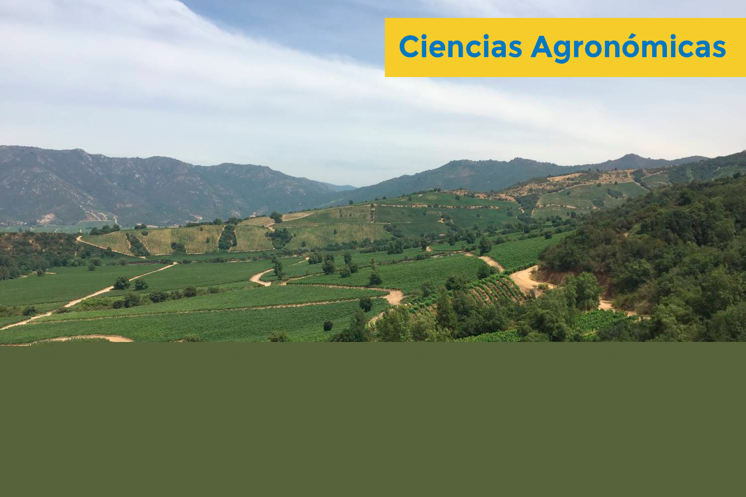 Cs Agronomicas